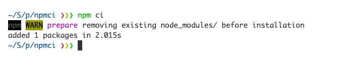npm ci delete node module